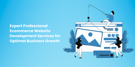 Professional ecommerce website development services